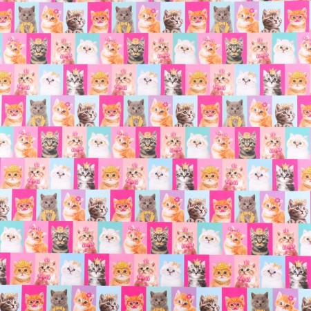 Two -sided craft packaging paper "cats", 70 x 100 cm-1
