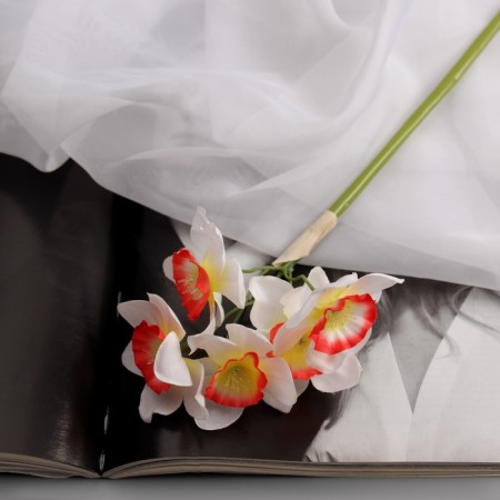 Artificial flowers "Narcissus Lux" Diam.usvetka-5cm (6 pieces in a bunch) 30 cm, white-pink-1