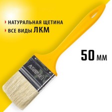 Brush flat Stayer Universal, natural bristles, plastic pen, 50 mm, 2 