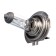 Car lamp Xenite H7 (PX26D) brightness +30%