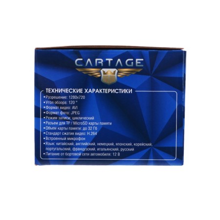 Cartage DVR, 2 cameras, HD 1080p, TFT 4.0, review 120 °-8