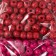 Set of beads for creativity tree "wine" d-0.8 cm, 4 colors x 15 g