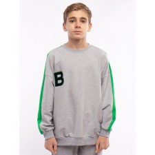 Sweatshirt for a boy, height 164 cm, color gray melange