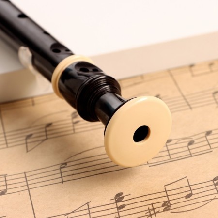 Music Life Blockflate, 8 holes, black cover, ramrod, 30 cm-1