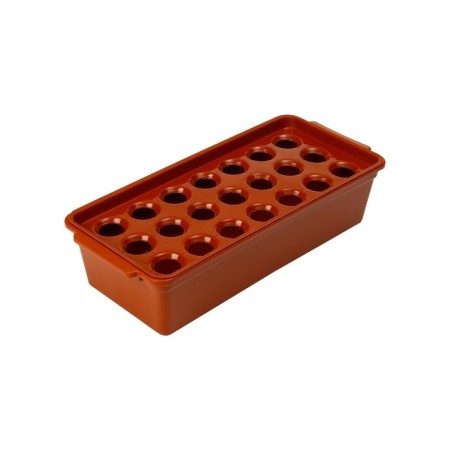 Box for growing green onions, 40 × 19 × 10 cm, 21 holes, red-4