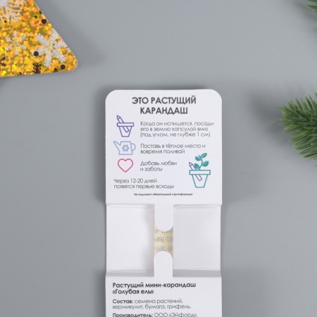 Growing gift pencils Mini "Blue spruce"-3