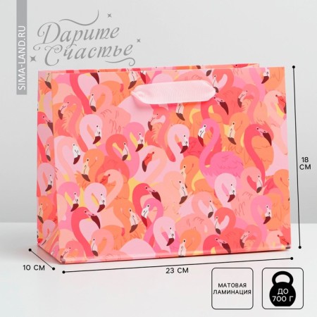 Package Gift Laminated Horizontal, Packaging, Flamingo, MS 18 x 23 x 10 cm