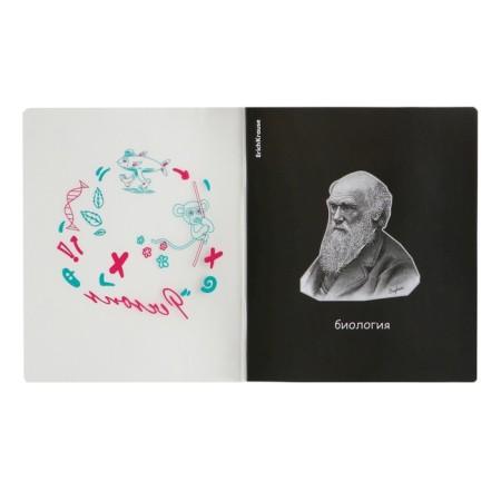 A set of subject notebooks of 48 sheets, 12 pieces, Erichkrause "Persons", plastic cover, coated cardboard, Bloc Offset 100%, info-block-20