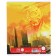 Notebook in a line of 18 sheets, 5 types of mix, cover coated cardboard, avengers