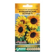 Seeds Sunflower Decorative 