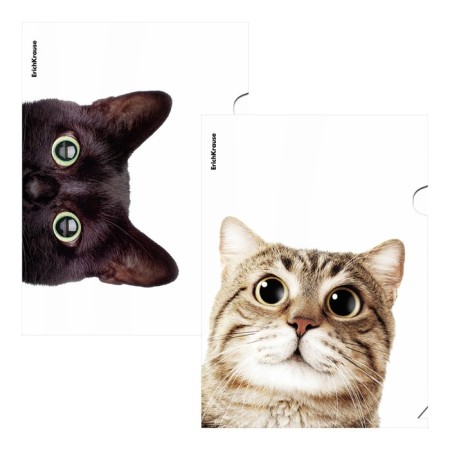 A4, 160 μm, Erichkrause "Hiding Cats", 4 design, mix