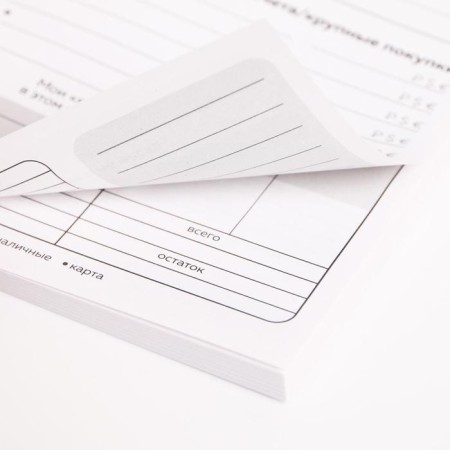 Smart notebook CashBook A6, 68 sheets "Cat Prosperogolik"-8