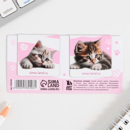 Magnetic bookmarks on the Books Substarm, 2 pcs.-2