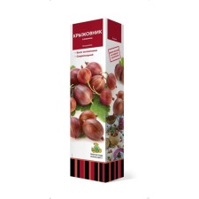Gooseberry 