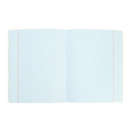 Notebook of 48 sheets in the cage "mustache, paws, tail", covered cardboard, block 65 g/m2, mix-1