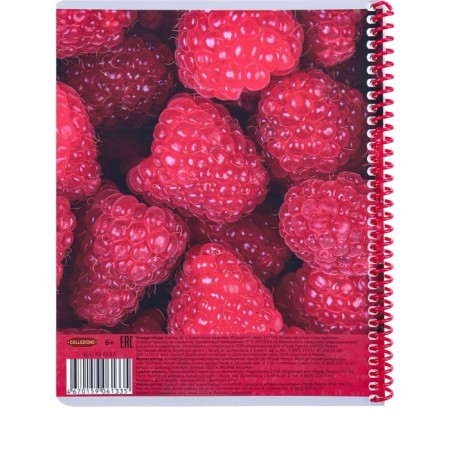 Notebook of 48 sheets in a cage on the crest Viva Magenta, cover coated cardboard, Soft Touch, mix-5