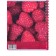 Notebook of 48 sheets in a cage on the crest Viva Magenta, cover coated cardboard, Soft Touch, mix