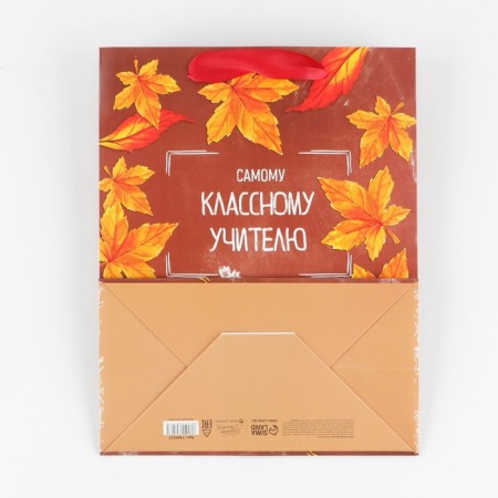 Package Gift Laminated Vertical, Packaging, “Class Teacher”, MS 18 x 23 x 10 cm-4