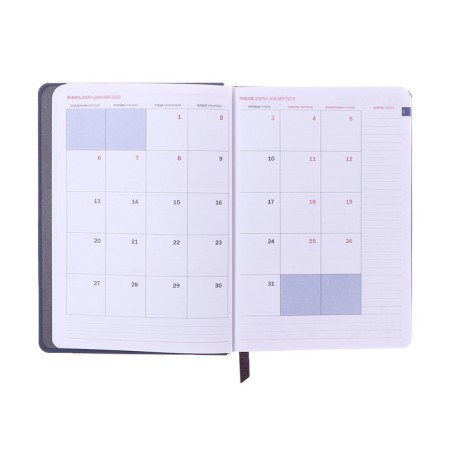 Dated diary of 2025, A6+, 176 sheets "Lyon", solid cover, pancake embossing, with liesa, block 80 g/m2, gray-9
