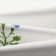 Ethel's towel "Flower" 40x70cm, sarzha 190 g/m2, 100% HL