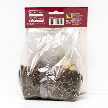 Lilia Asian Orinj Electric, 14/16 rr, 2 pcs. 100 h (cm), autumn 2024-1