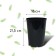 Pot for seedlings, for roses, 4 l, d = 18 cm, h = 21.5 cm, black, Greengo