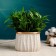 Pot "Elegy" gray 12x9cm, 0.6 l, d-9.5,