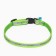 Collar "sport" with a reflective strip, 31 x 1 cm, green