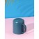 Mug Plastic Delaland "Dragon", 350 ml, turquoise color