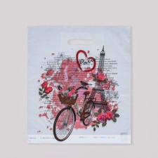 Bon Voyage package, polyethylene with a cut pen, 35 μm, 36 x 45 cm