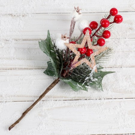 Decor "Winter Charm" Star of the Berry, 22 cm-1