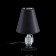 Highway lamp "Pomegranate" black-silver, 30 × 22 × 22 cm