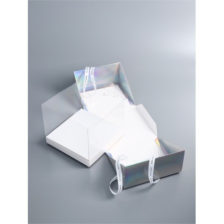 Bearbox under the bento-port with ribbons, holography, 25 x 25 x 20 cm-3