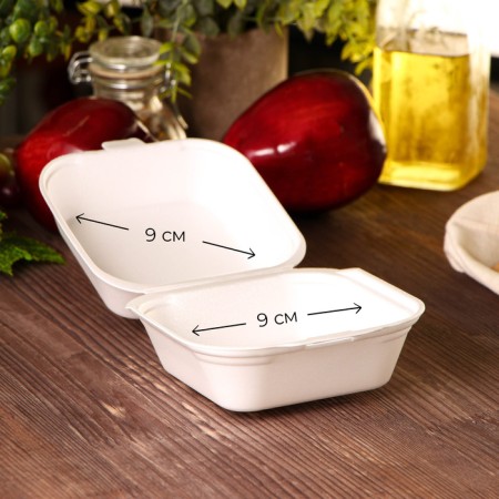 Lunch - boxing box for bento -trap and burger, 13 × 13 × 7 cm-1