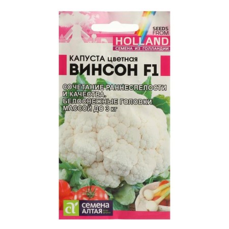 Seeds Cabbage Color "Vincon", F1, 15 pcs.