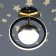 Lamp "Alions" LED 37W 3000-6000K black and gold 20x20x22 cm Bayerlux