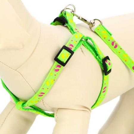 Set "Color Transes", leash 120 x 1 cm, fire 23-35 cm, green-2