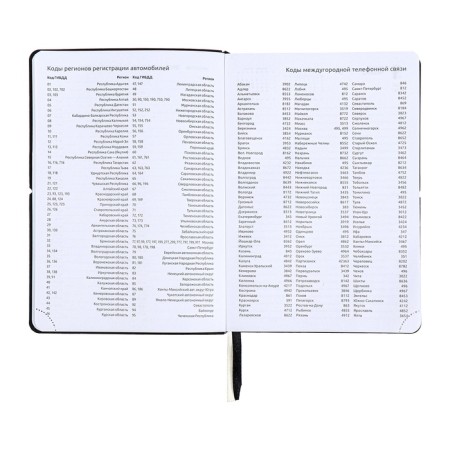 Dated diary 2024 A5 176 sheets, Devente.Saltos, soft cover of artificial leather, lies, cream block 70 g/m2, black-14