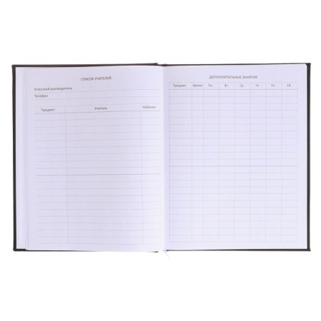 Universal diary for grade 1-11 Break The Limits, hard cover, artificial leather, foam rubber, lies, 80 g/m2-5