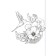 Amazing flowers. May L.