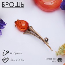 Amber Brooch 