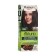 Hair dye Palette Naturals, 4-60 golden chestnut, 110 ml