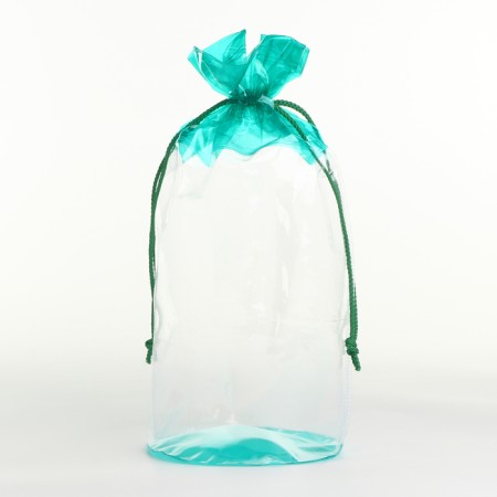 Cosmetic bag on the cord, the color is transparent/green-2