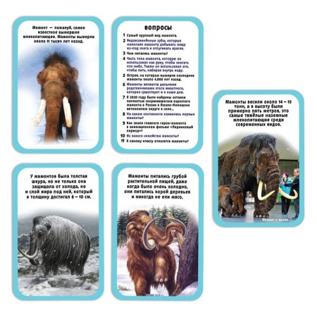 Set for experiments "Ice Age", in the package-4