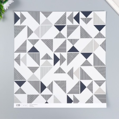 Scrapbooking paper bilateral "Scandinavia" density 180 g 30.5x32 cm-3