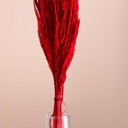 Set of dried flowers "Weinik", banch length 65 (+/- 6 cm), red-1
