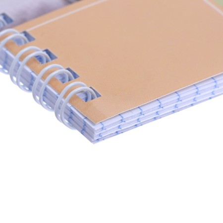 Notebook of 48 sheets in a cage on the crest "Professionals", cover coated cardboard, an offset block 65g/m2, mix-4