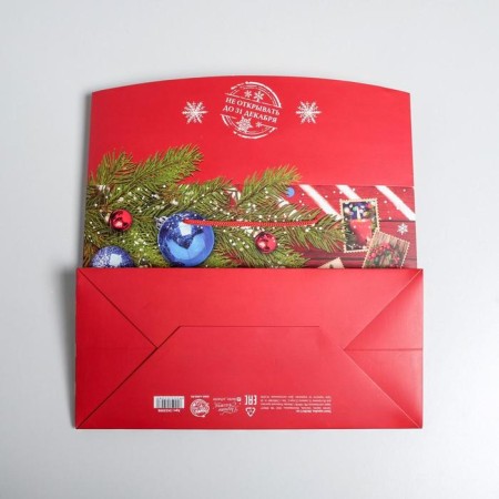 Package - New Year's Parcation, 28 x 20 x 13 cm, New Year-5