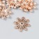 Decor for creativity plastic, rhinestones "Golden chamomile" set of 12 pcs 3x3 cm