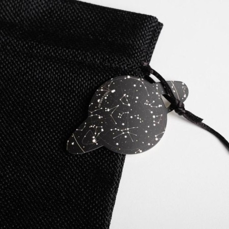 Gift bag "Cosmos", 20 x 30 cm +/- 1.5 cm-2